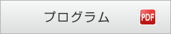 プログラムpdf